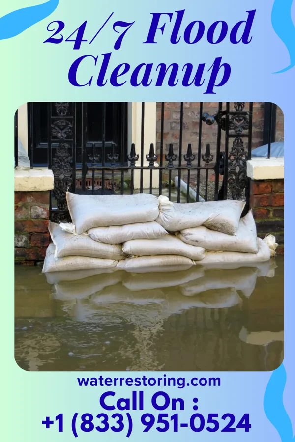 24/7 Flood Cleanup in Rapids, NY
