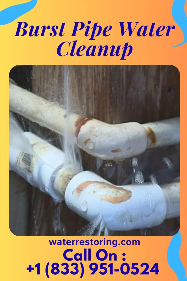 Burst Pipe Water Cleanup in Rapids, NY
