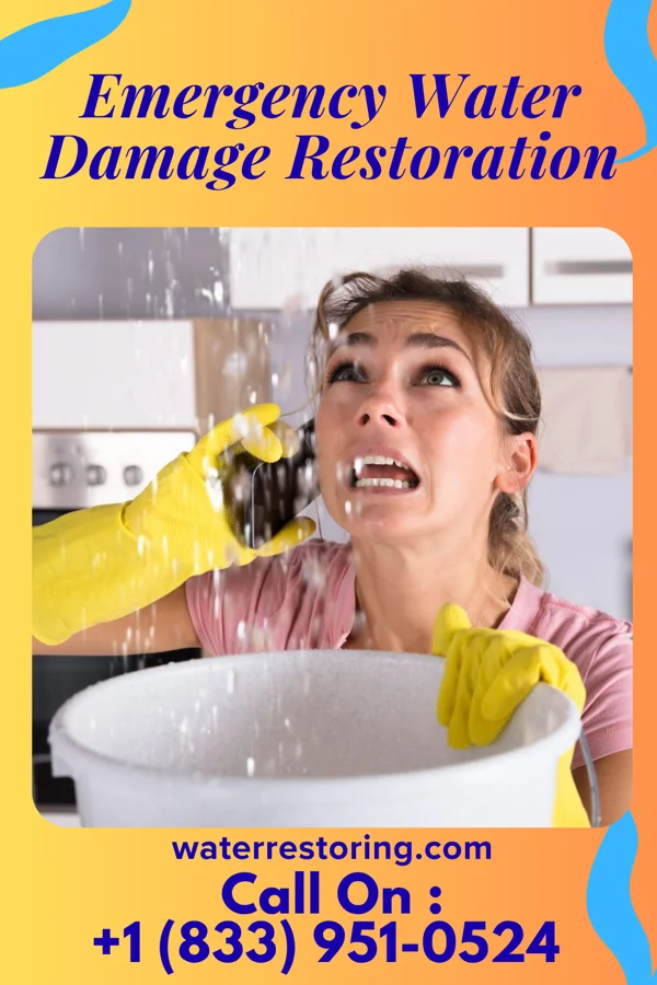 Emergency Water Damage Restoration in Rapids, NY