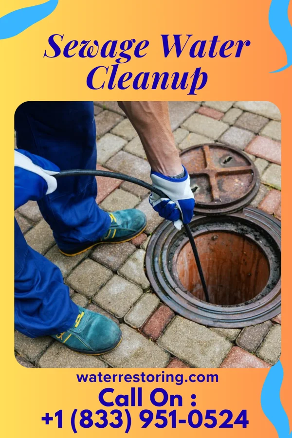 Sewage Water Cleanup in Rapids, NY